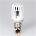 Ограничитель температуры прямого действия VALTEC (тип RTL),  прямой, 1/2'' нар. X 3/4'' евроконус VT.9154.02800.0405E - фото 18224 Ограничитель температуры прямого действия VALTEC (тип RTL),  прямой, 1/2'' нар. X 3/4'' евроконус VT.9154.02800.0405E - фото 18224